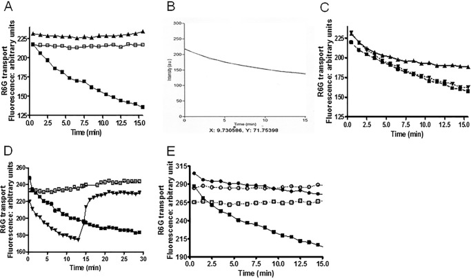 FIGURE 10.