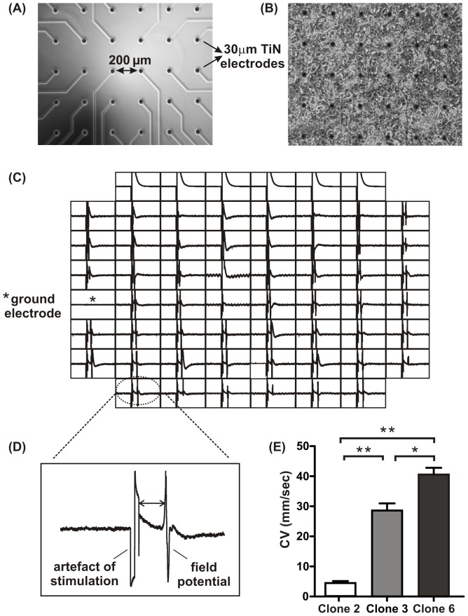 Figure 9