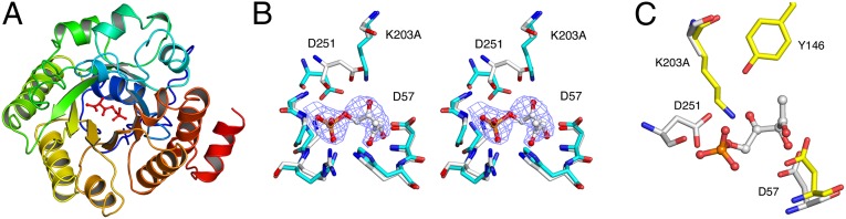 Fig. 5.