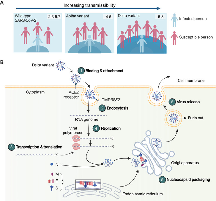 FIGURE 2