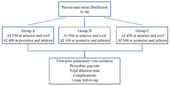 FIGURE 1