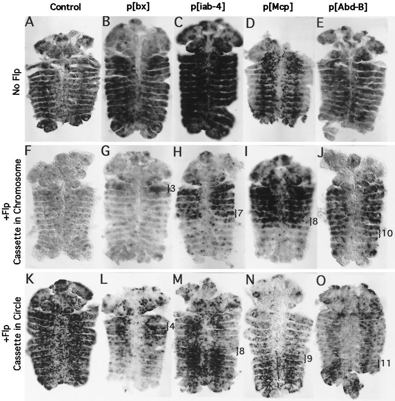 FIG. 7