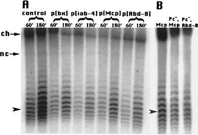 FIG. 8