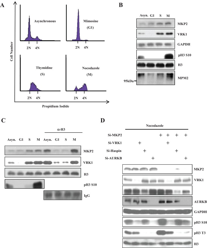 FIGURE 7: