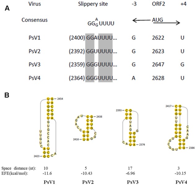 FIGURE 4