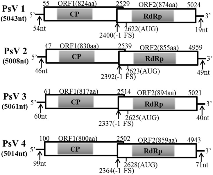 FIGURE 2