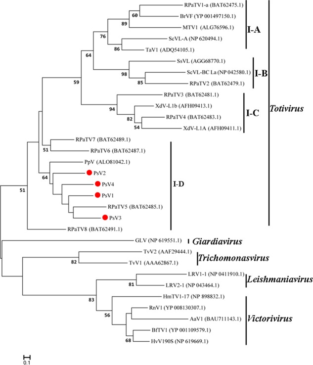 FIGURE 6