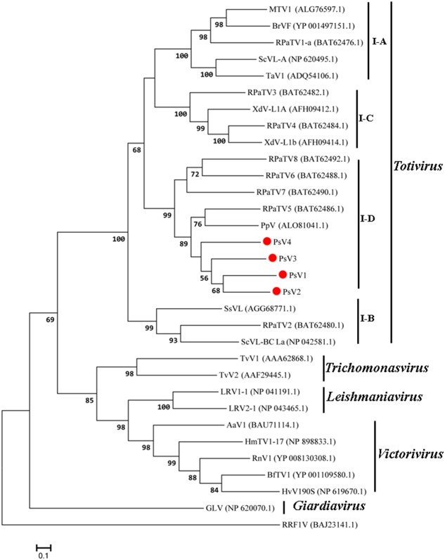 FIGURE 5