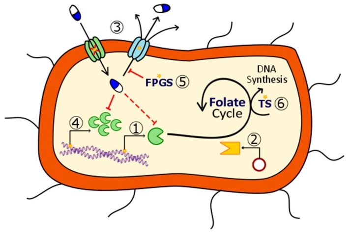 Figure 9