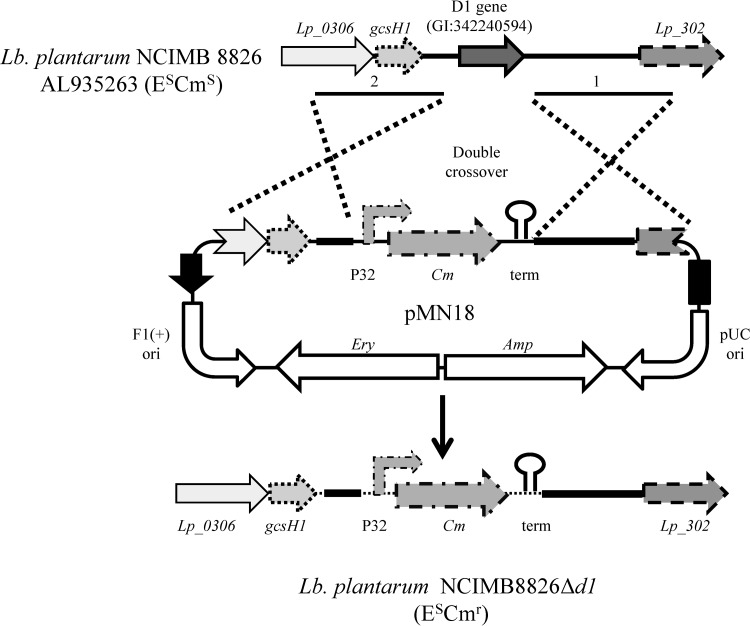 Fig 1