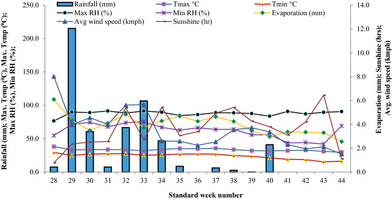 Figure 11