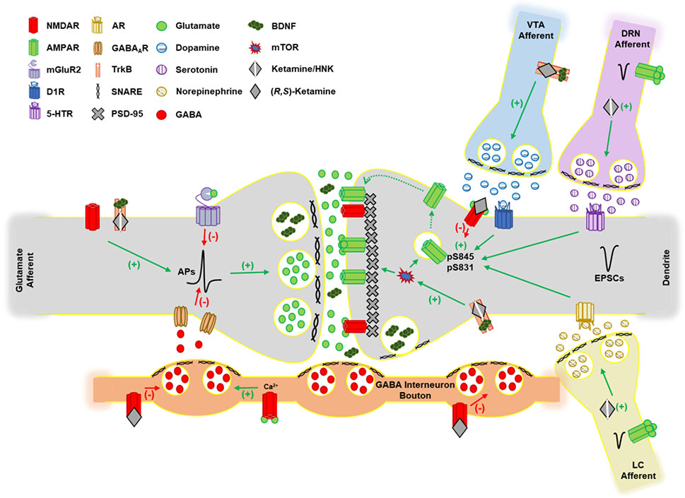 Figure 2: