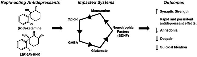 graphic file with name nihms-1778865-f0001.jpg