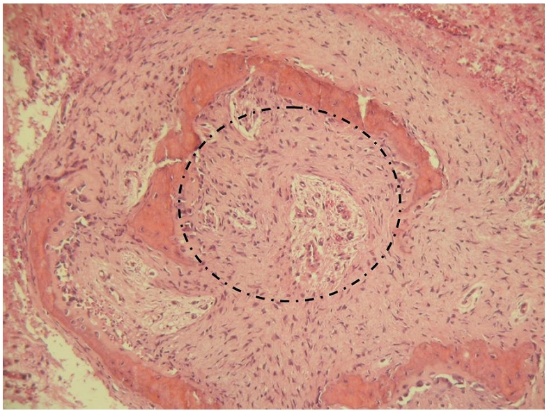 Figure 4: