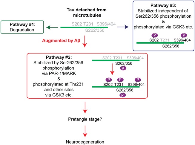 Fig 8