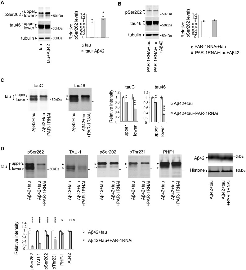 Fig 5