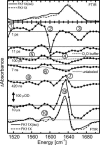 Fig. 2.