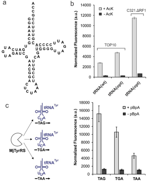 Figure 2.