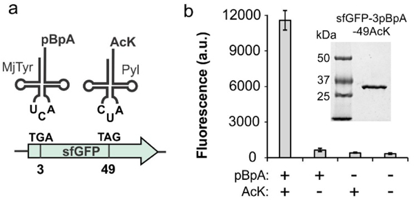 Figure 3.