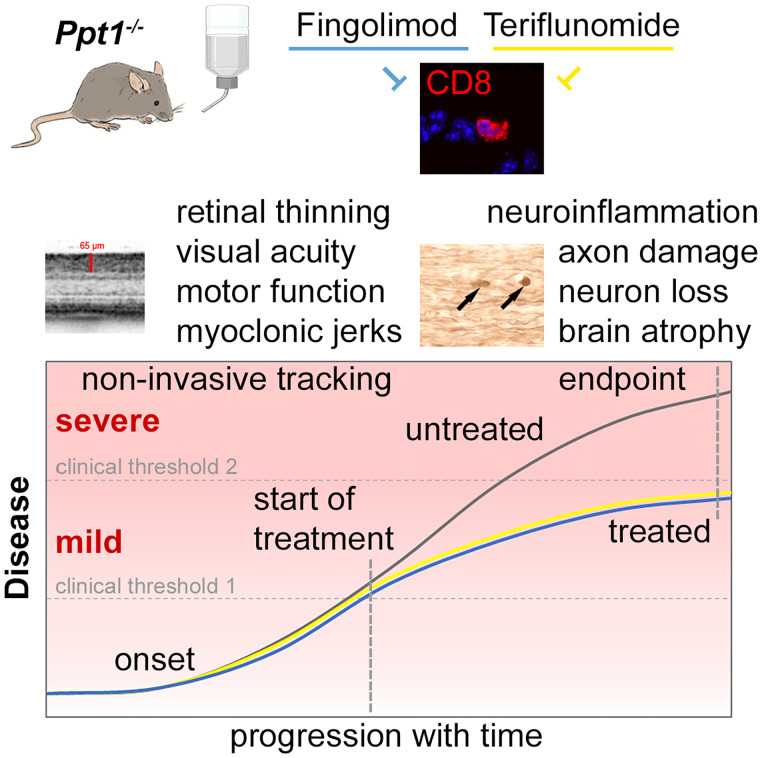 Graphical Abstract