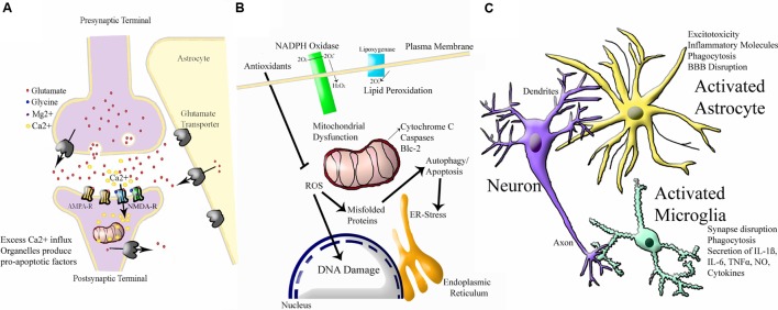 FIGURE 3