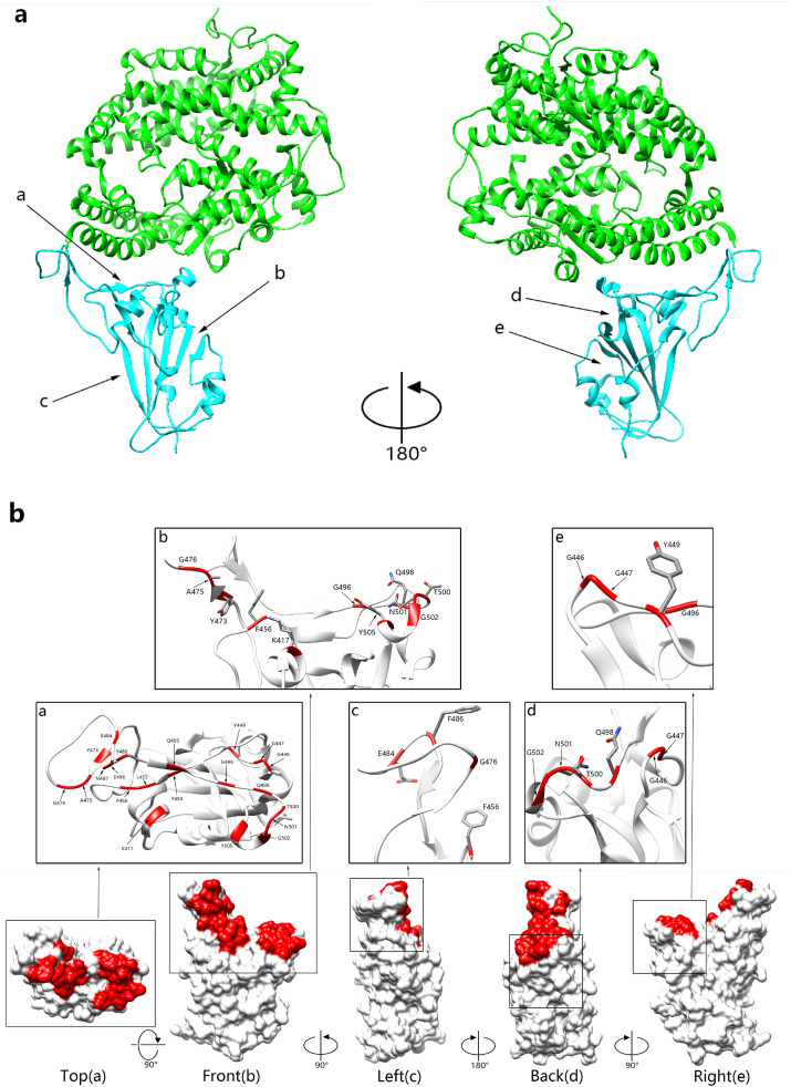 Fig. 1