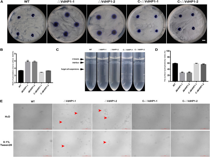 FIG 3