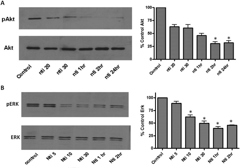 Fig. 9.