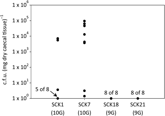 Fig. 3. 