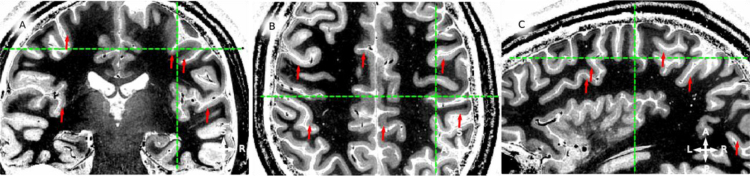 Fig. 8.