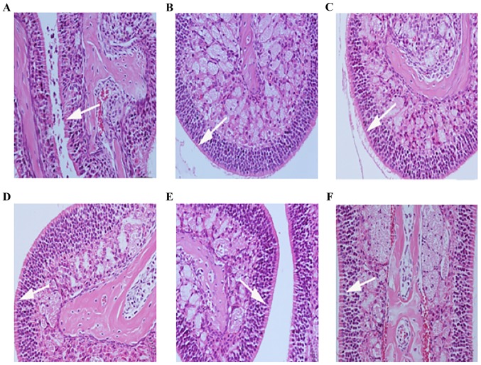 Figure 6.