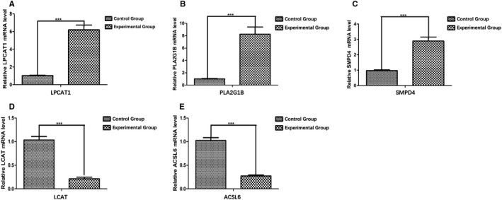 FIGURE 14