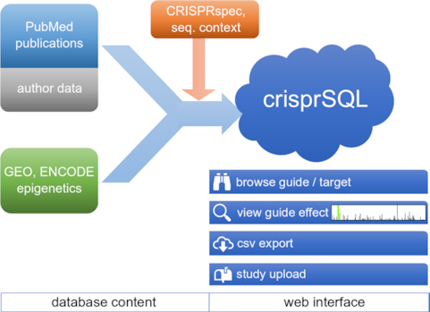 Graphical Abstract