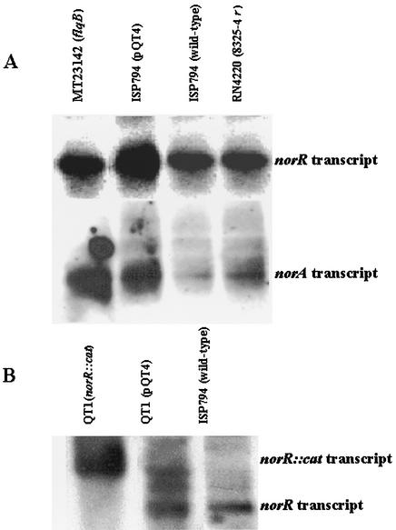 FIG. 5.