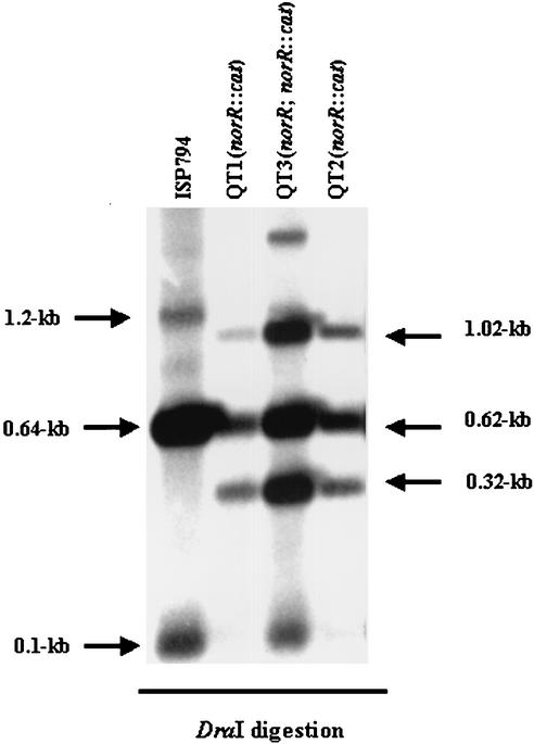 FIG. 6.