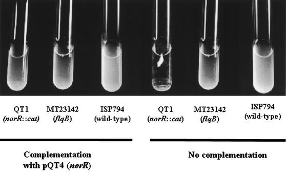 FIG. 7.