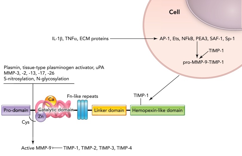 FIGURE 4.