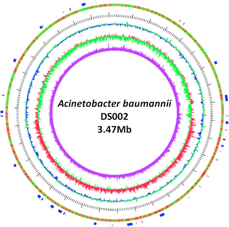 Fig 1