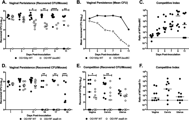 FIG 6