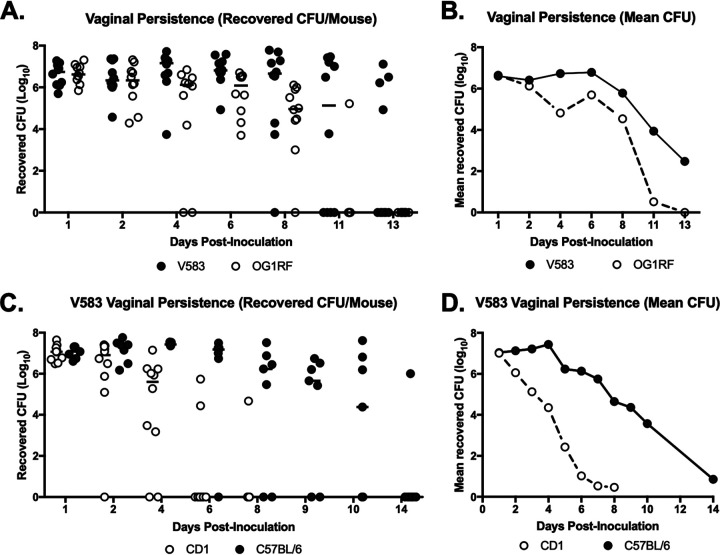 FIG 2