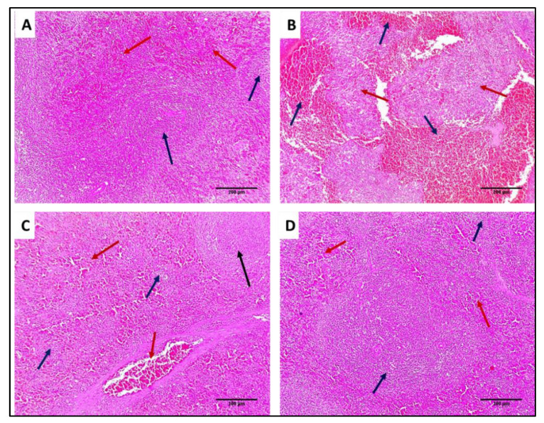 Figure 14