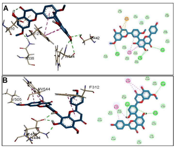 Figure 4