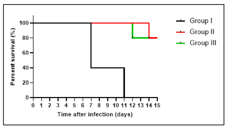 Figure 12