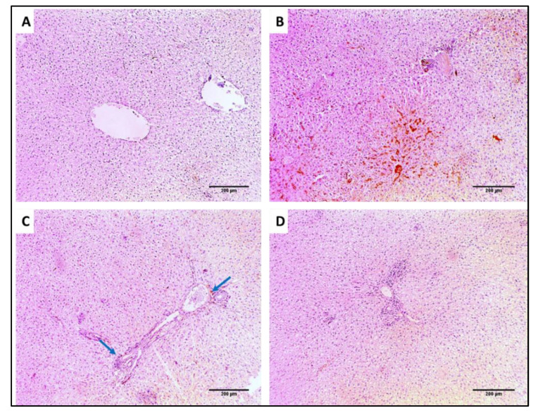 Figure 17