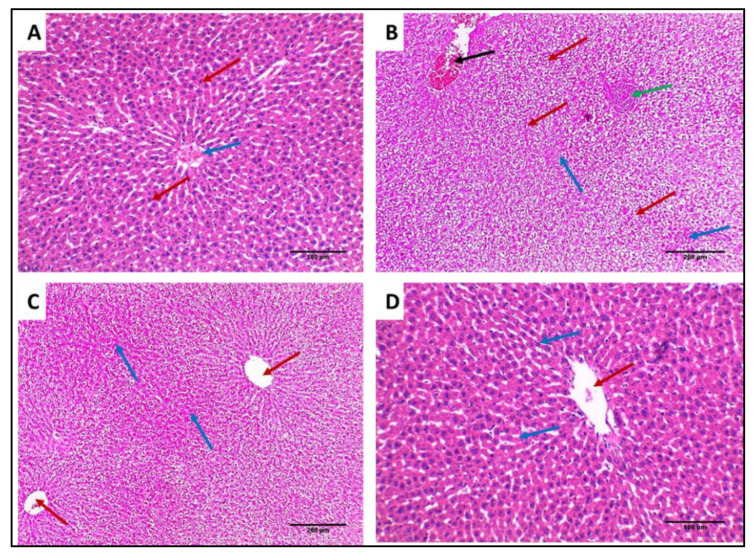 Figure 13