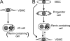 FIGURE 9.