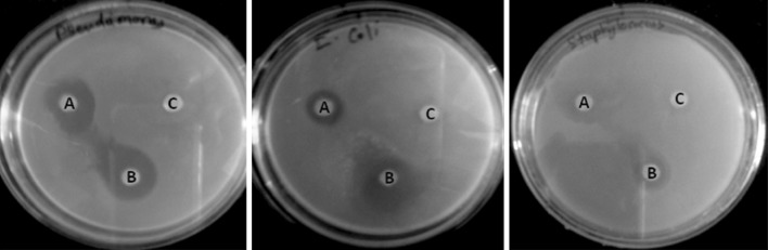 Fig. 4