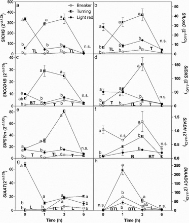 Fig. 3.