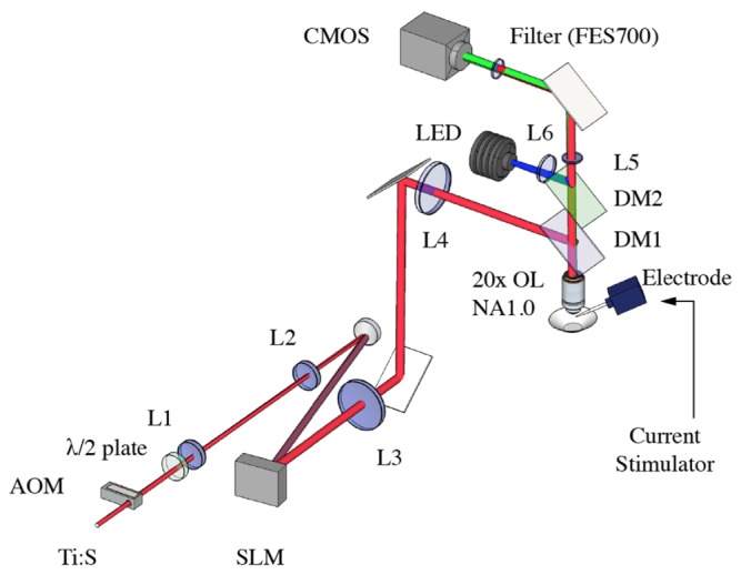 Fig. 1