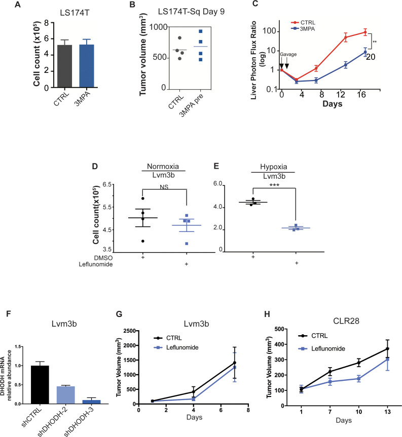 Figure 7—figure supplement 1.